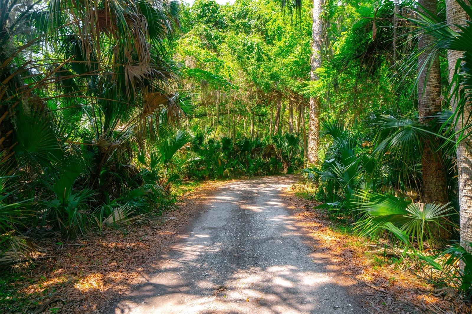 10474 Salt Marsh Trl Property Photo 8