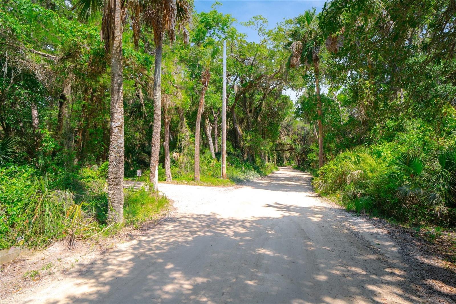 10474 Salt Marsh Trl Property Photo 10