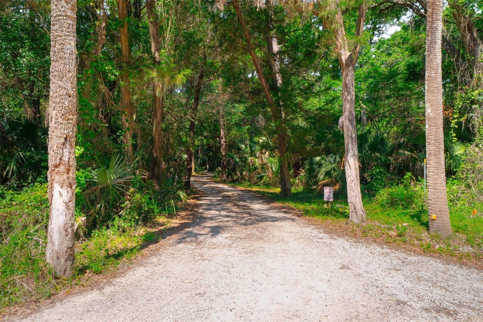 10474 Salt Marsh Trl Property Photo 11