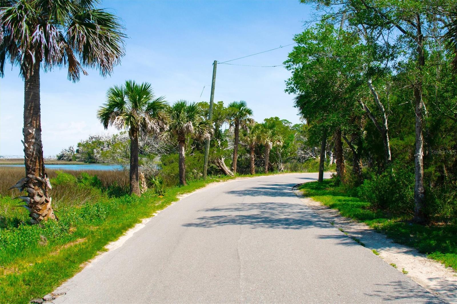 10474 Salt Marsh Trl Property Photo 12