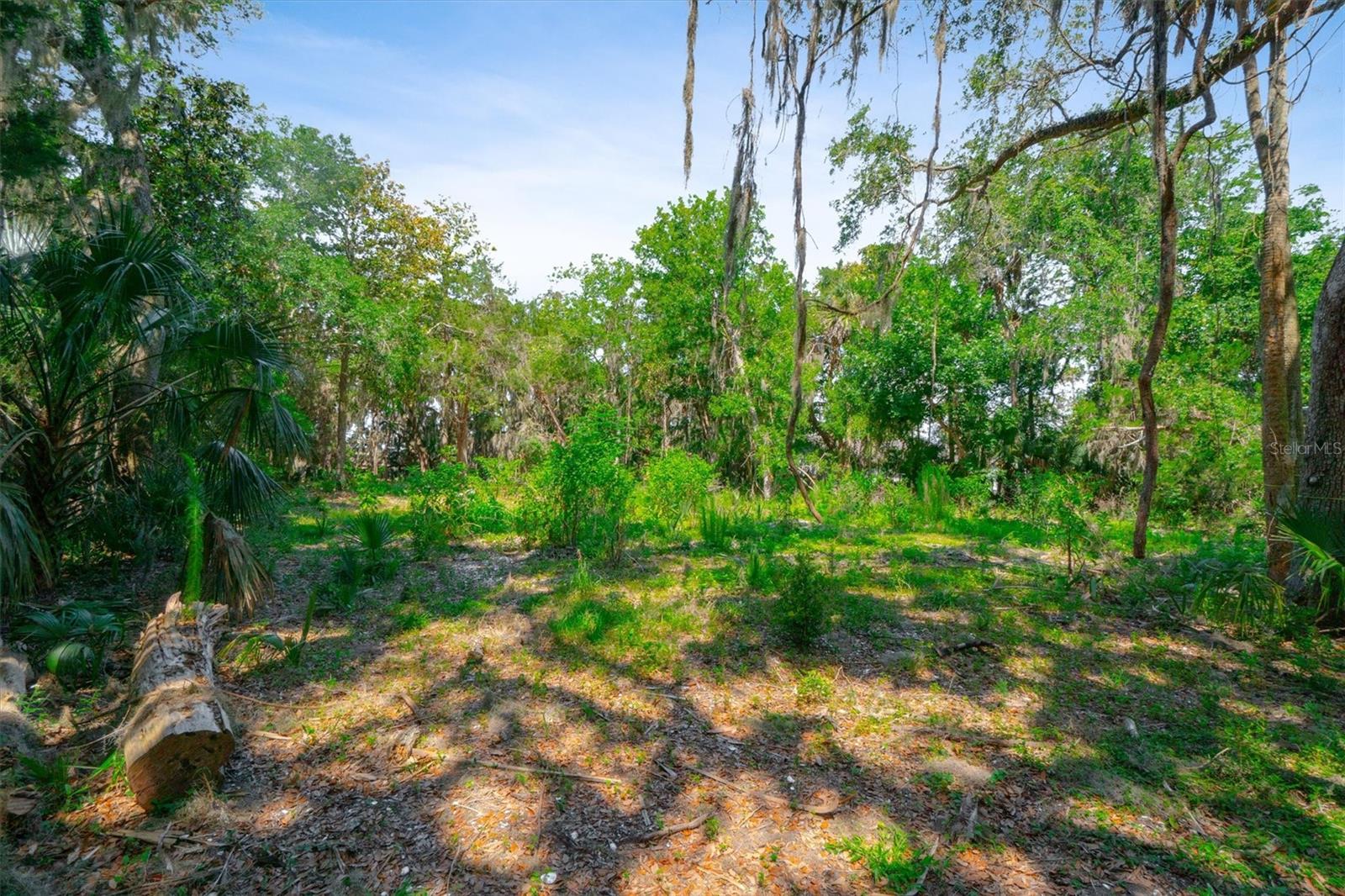 10474 Salt Marsh Trl Property Photo 13