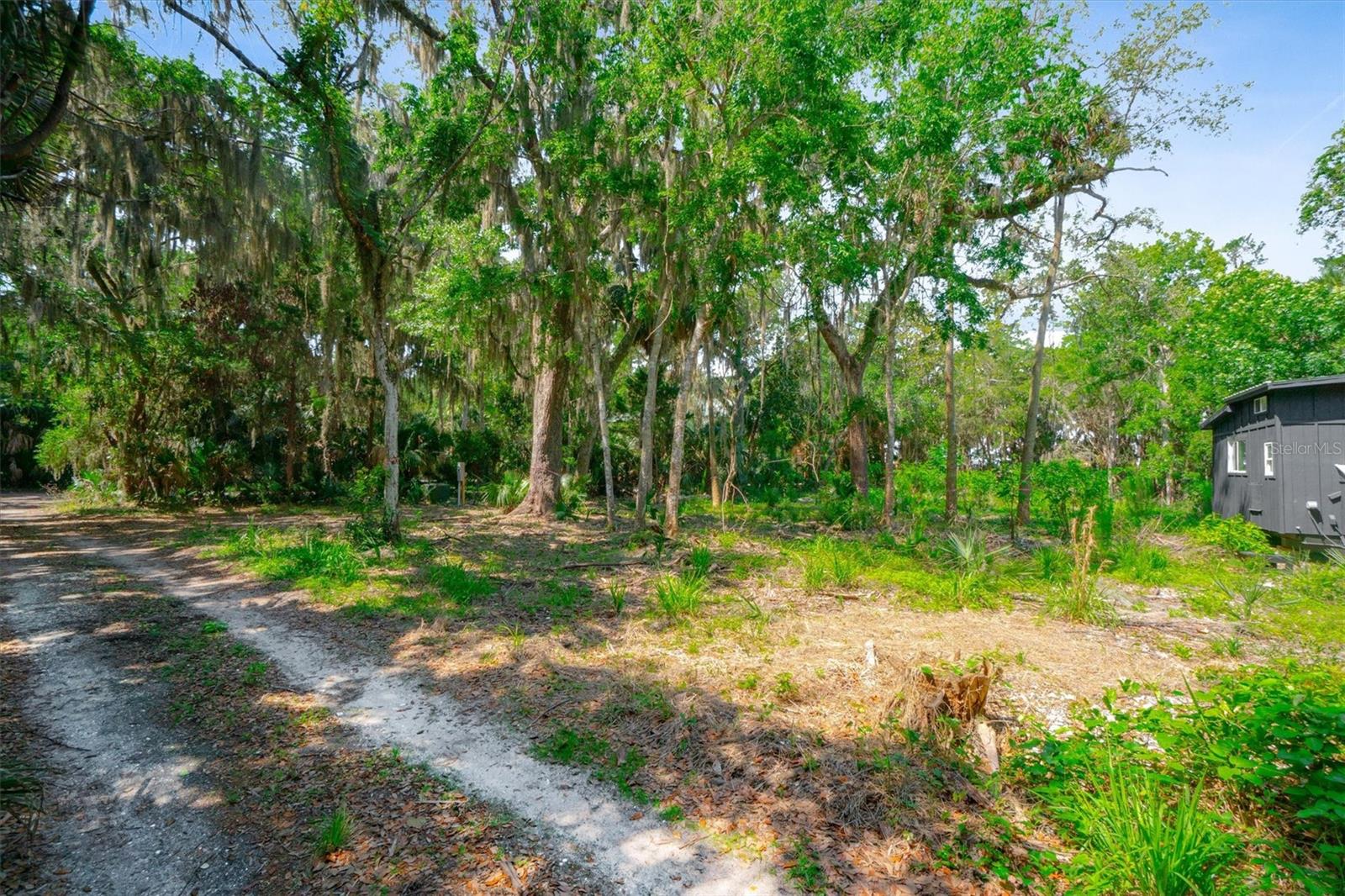10474 Salt Marsh Trl Property Photo 14
