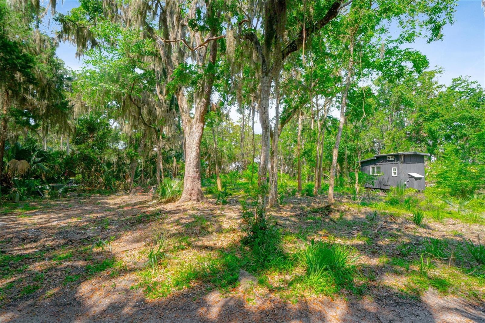 10474 Salt Marsh Trl Property Photo 15