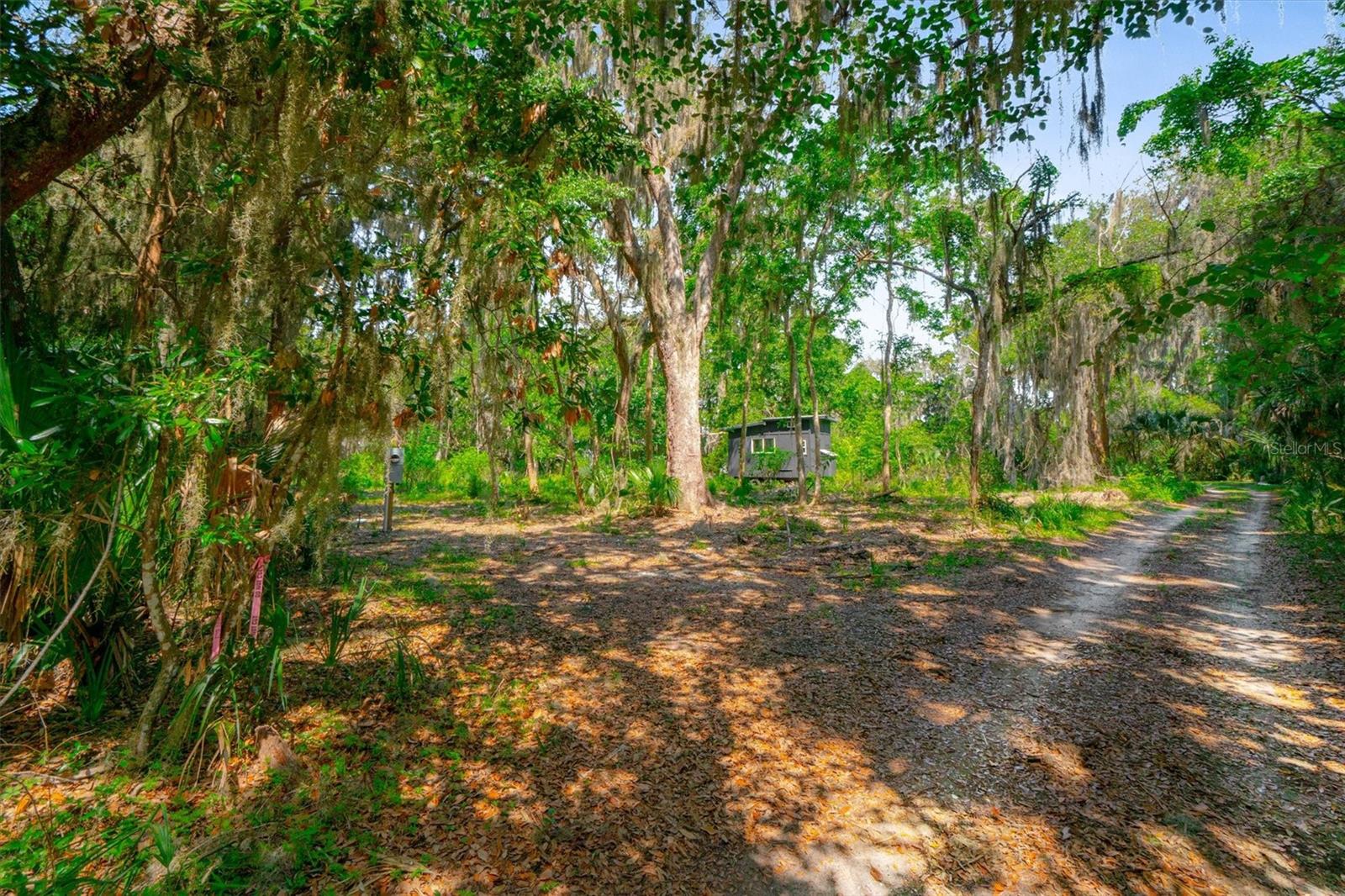 10474 Salt Marsh Trl Property Photo 16