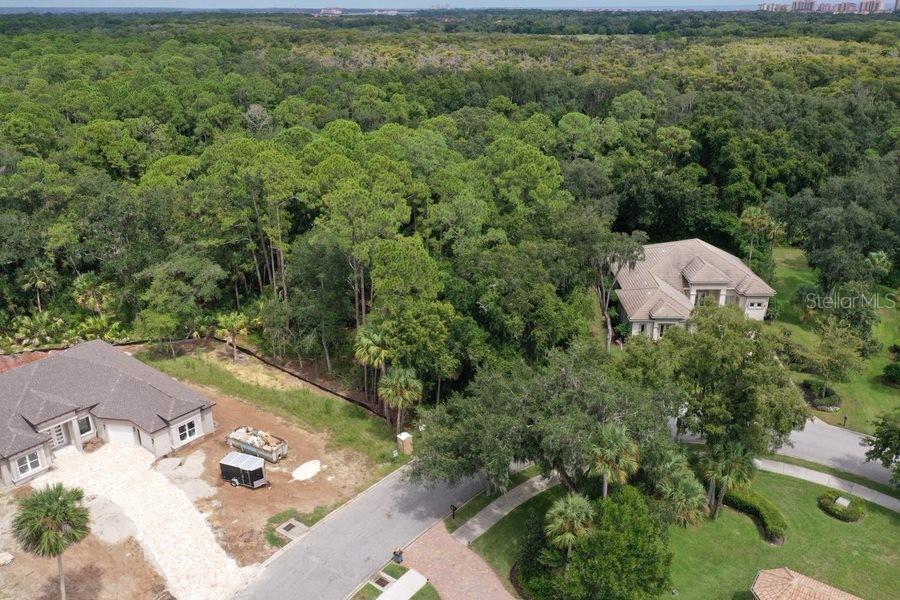 165 Willow Oak Way Property Photo 6