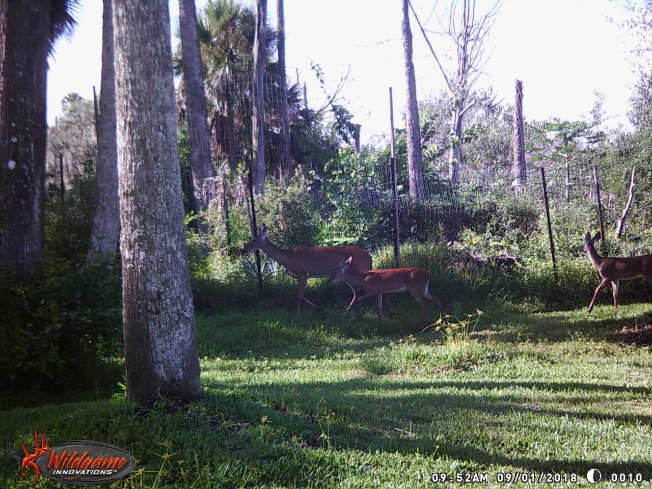 165 Willow Oak Way Property Photo 27