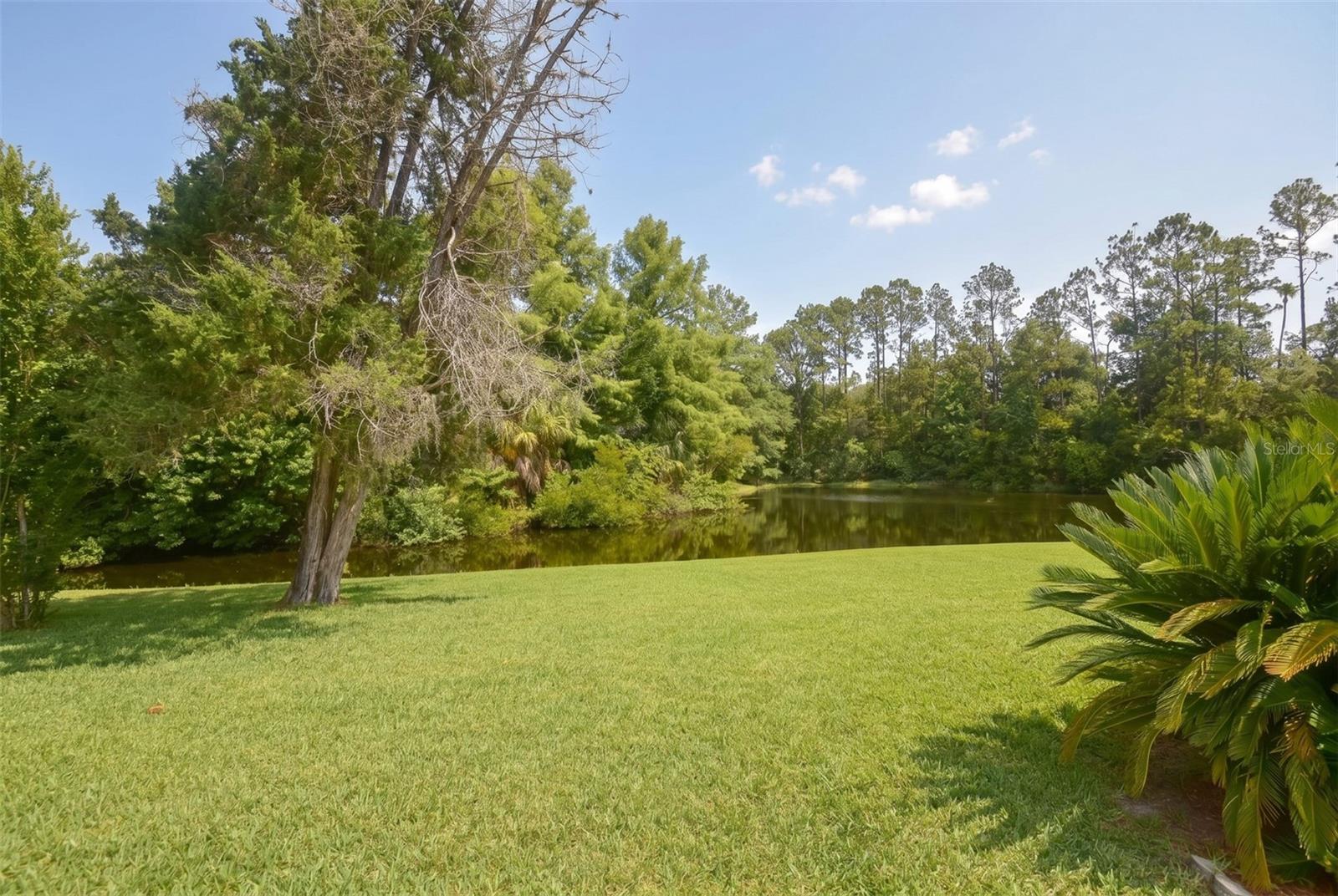 114 Shadowcreek Way Property Photo 56