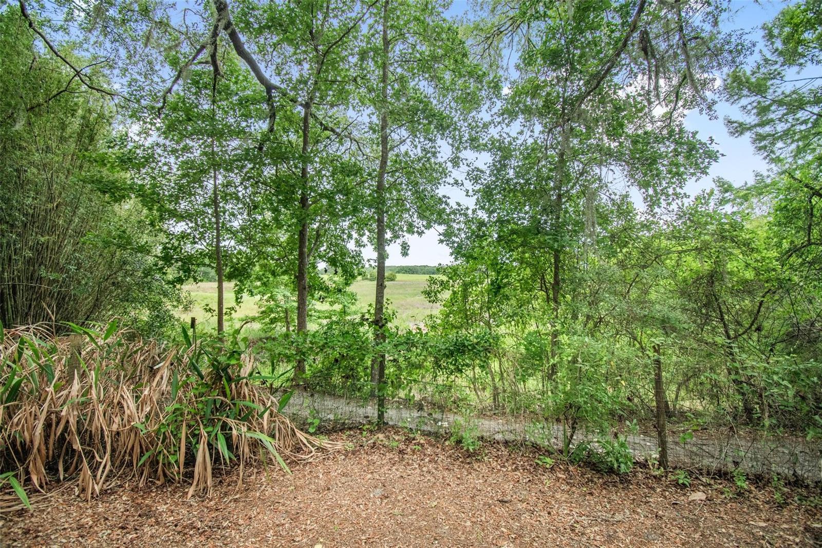 156 Kingfish Rd Property Photo 46