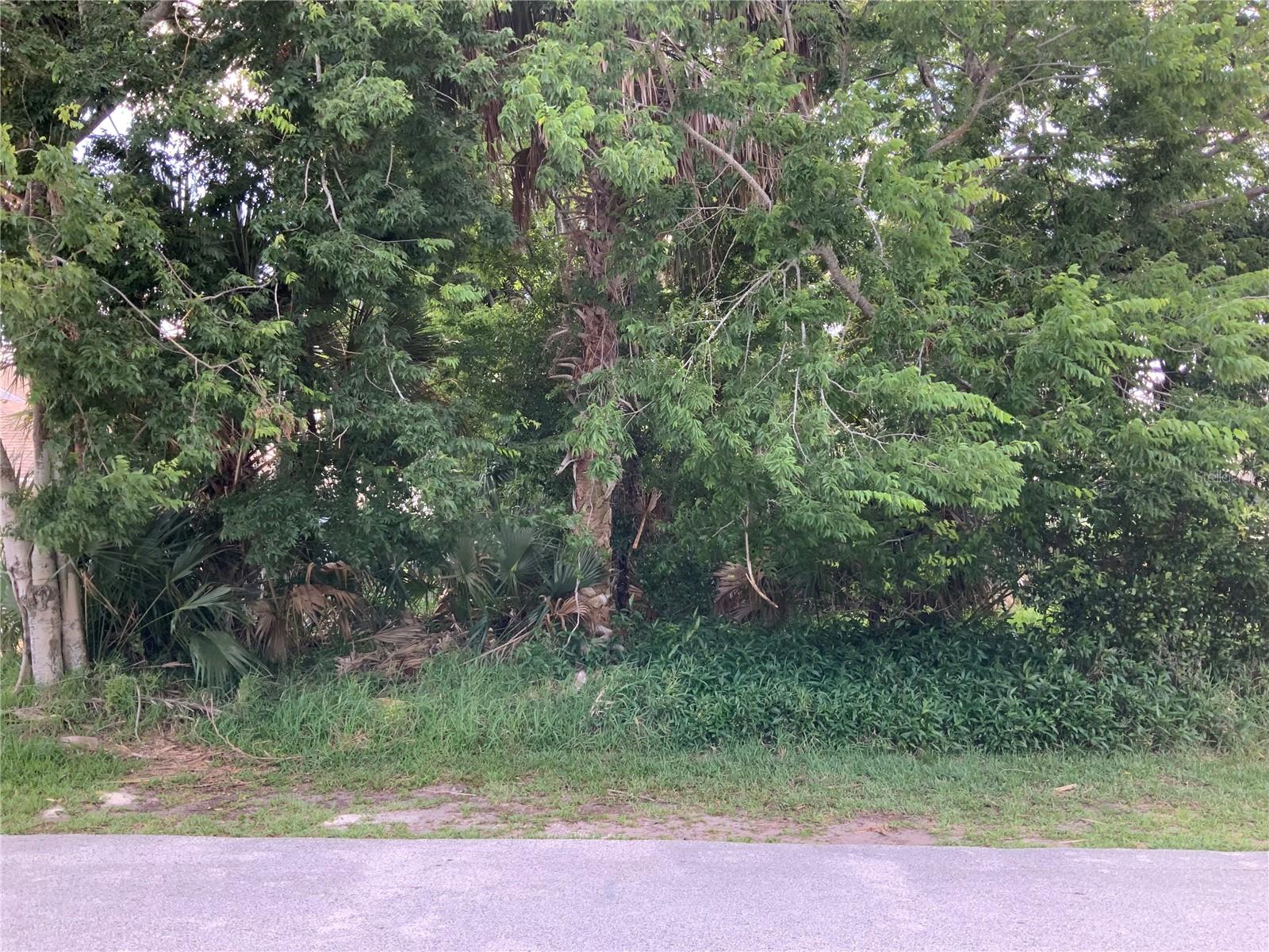 23 Comanche Ct Property Photo 1