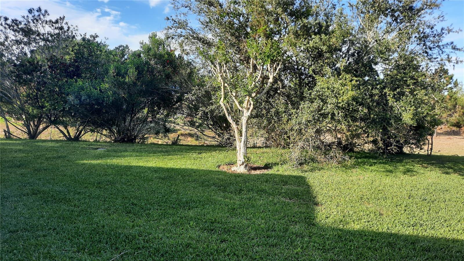 1315 Elli Cir Property Photo 3