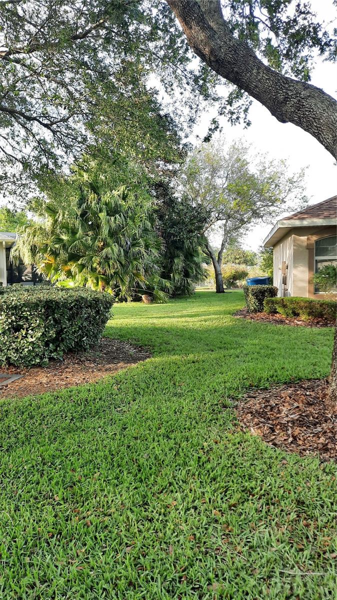 1315 Elli Cir Property Photo 5