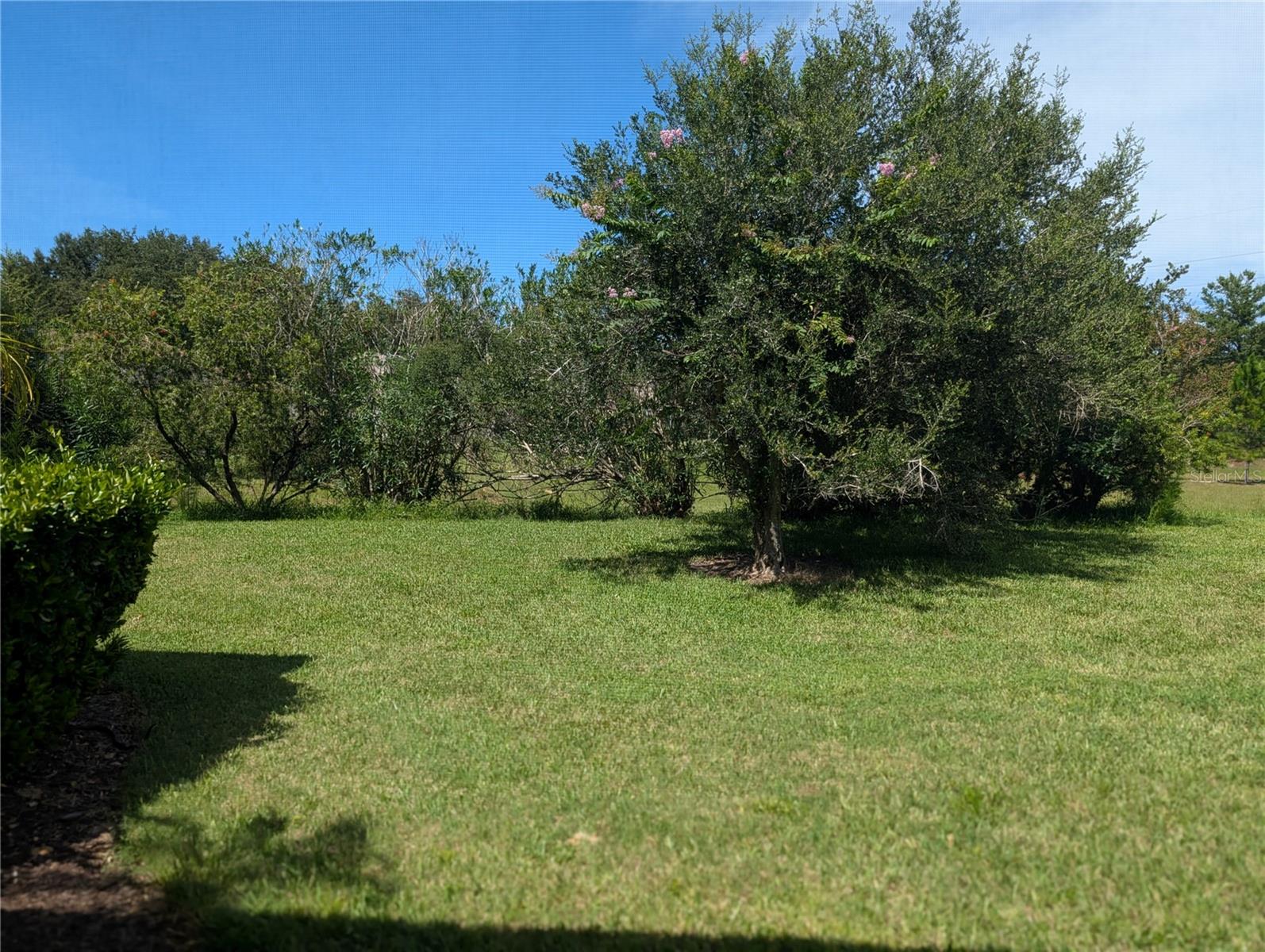 1315 Elli Cir Property Photo 9