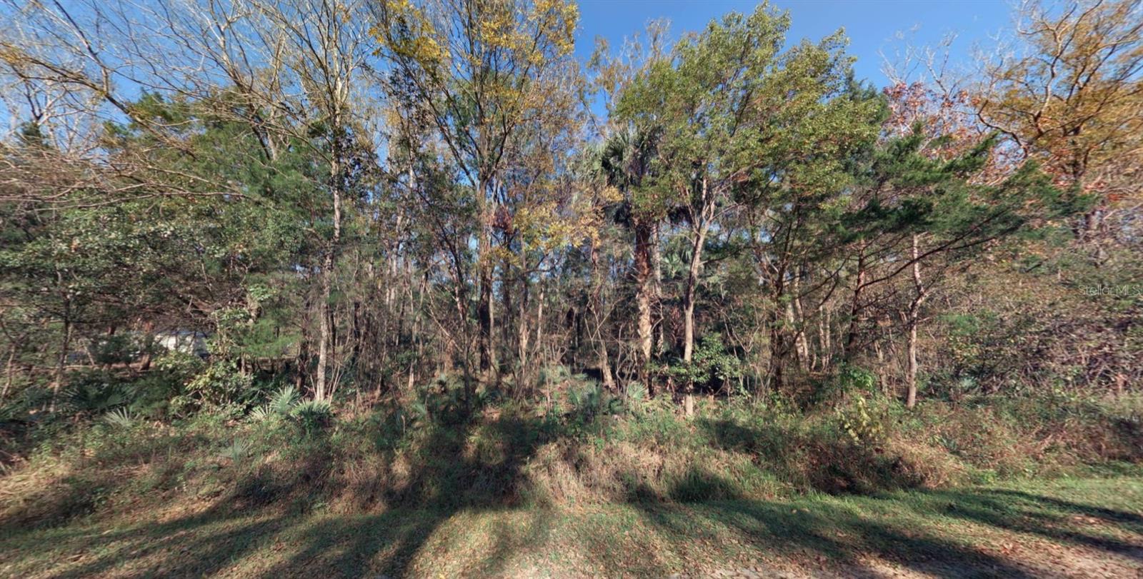4530 Harold St Property Photo 8