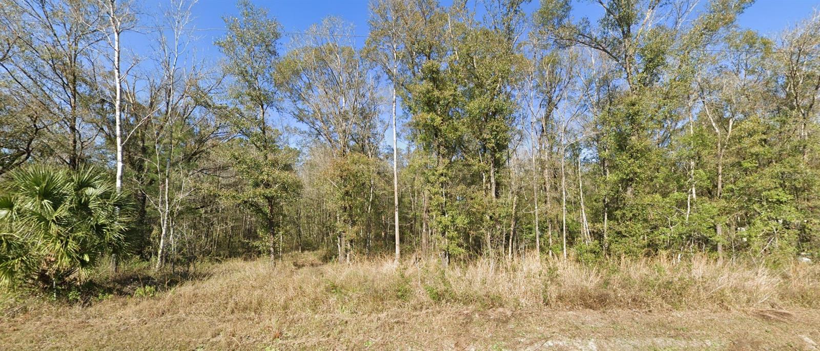 4720 Jonathan St Property Photo 2
