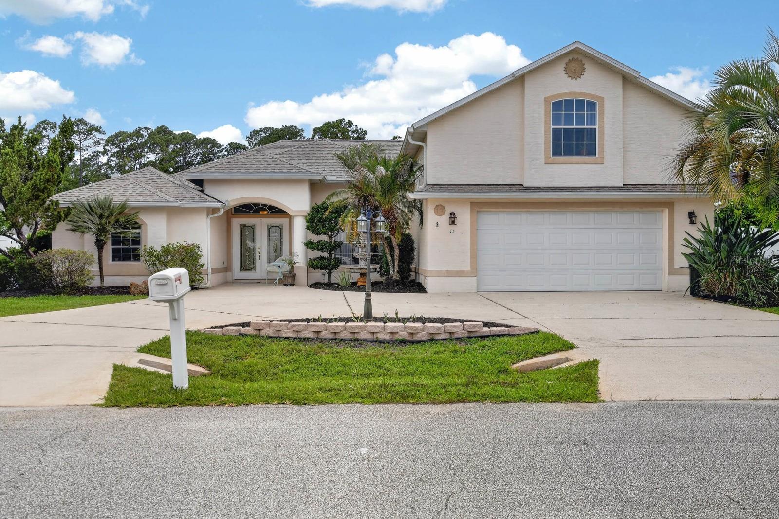 11 ZONAL GERANIUM CT
