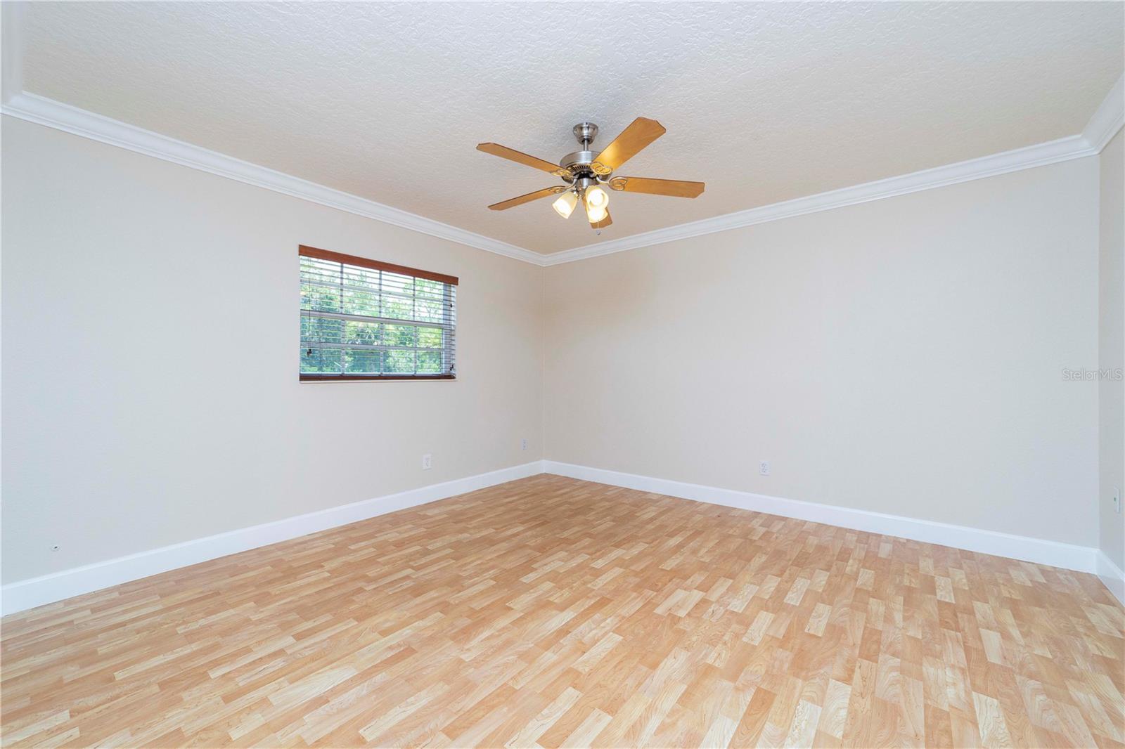 10 Blyth Pl Property Photo 29