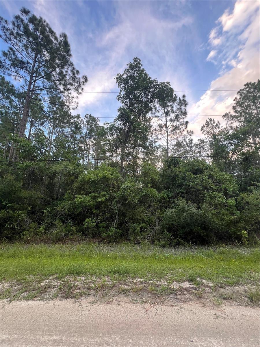 1411 ELDER ST Property Photo 1