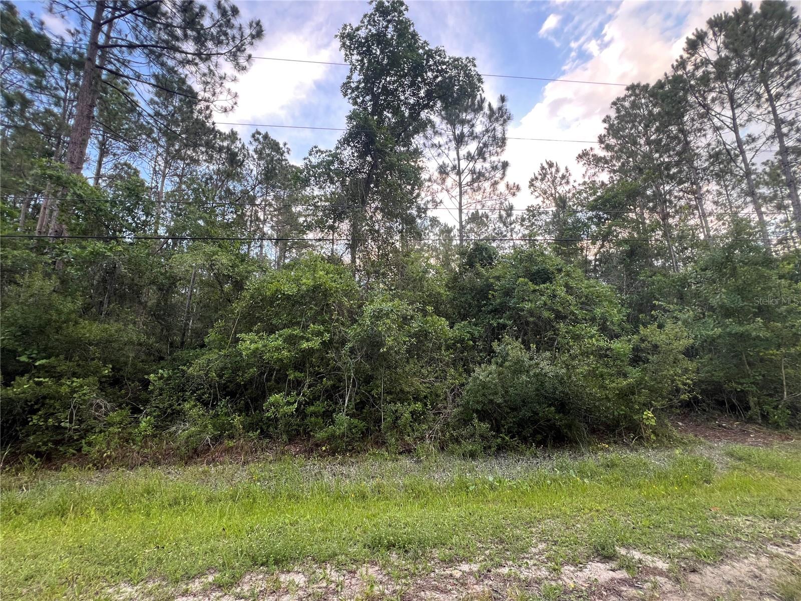 1411 Elder St Property Photo 2