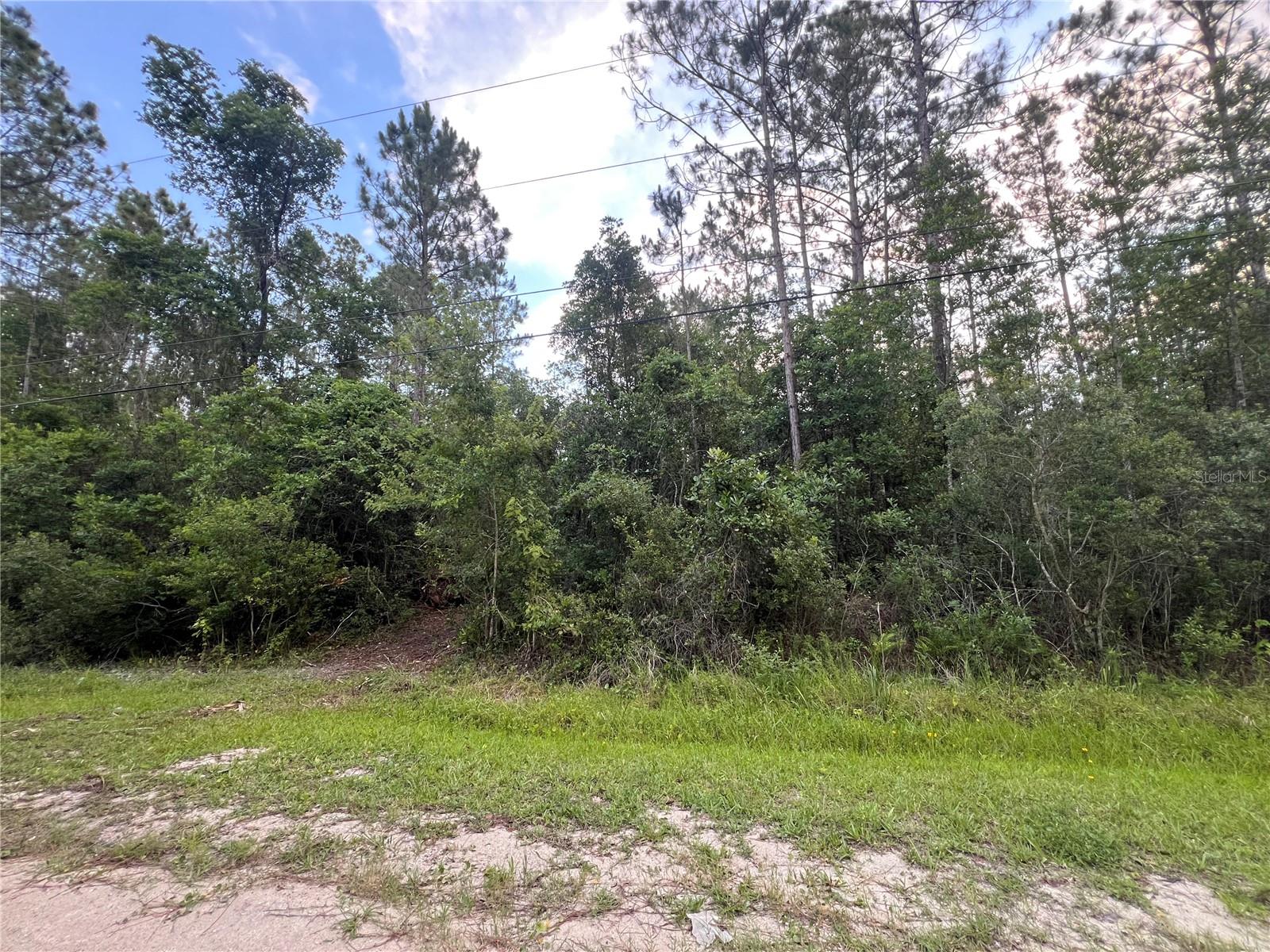 1411 Elder St Property Photo 4