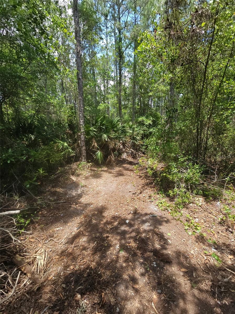 1411 Elder St Property Photo 6