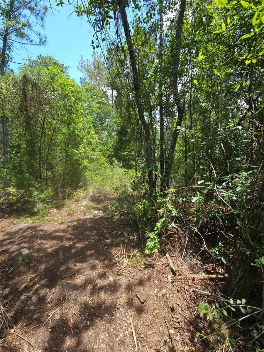 1411 Elder St Property Photo 9
