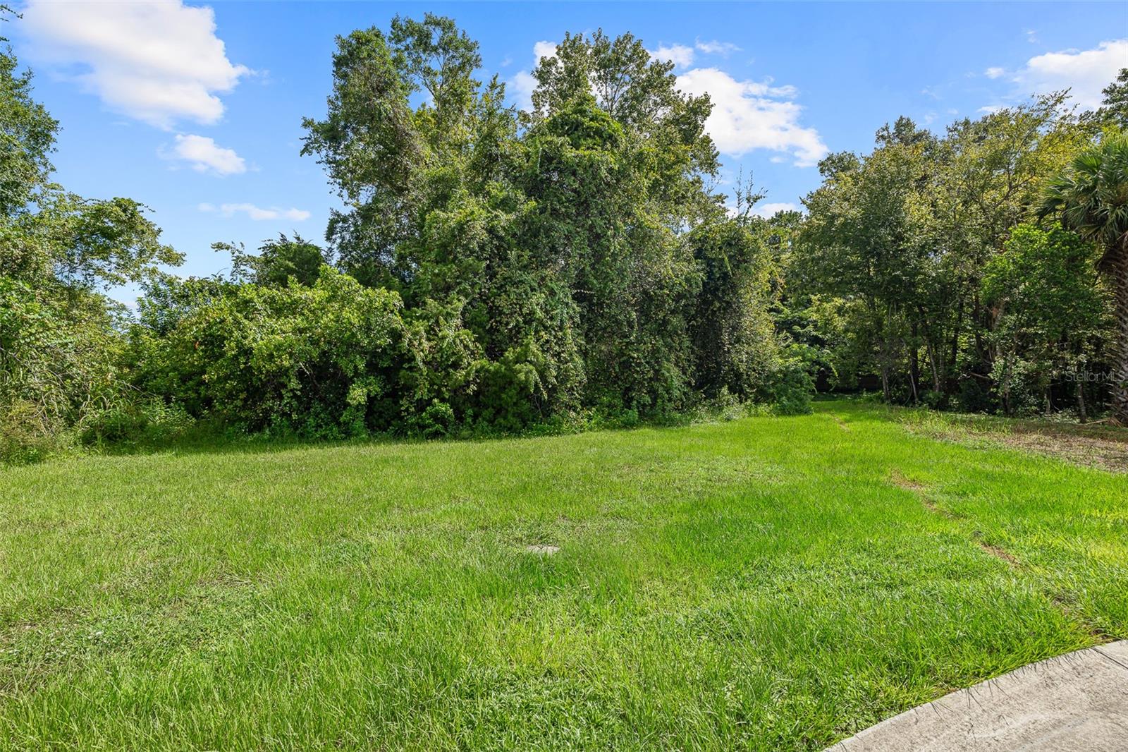1082 Yaupon St Property Photo 1