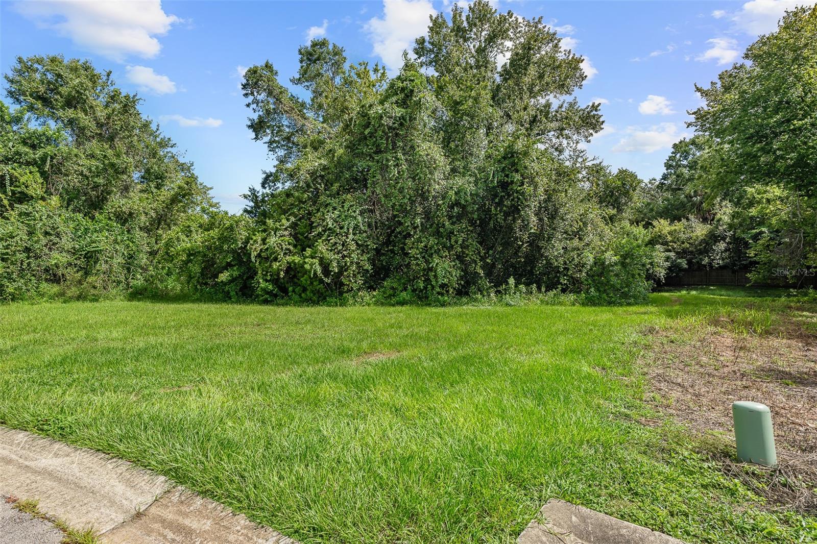 1082 Yaupon St Property Photo 3