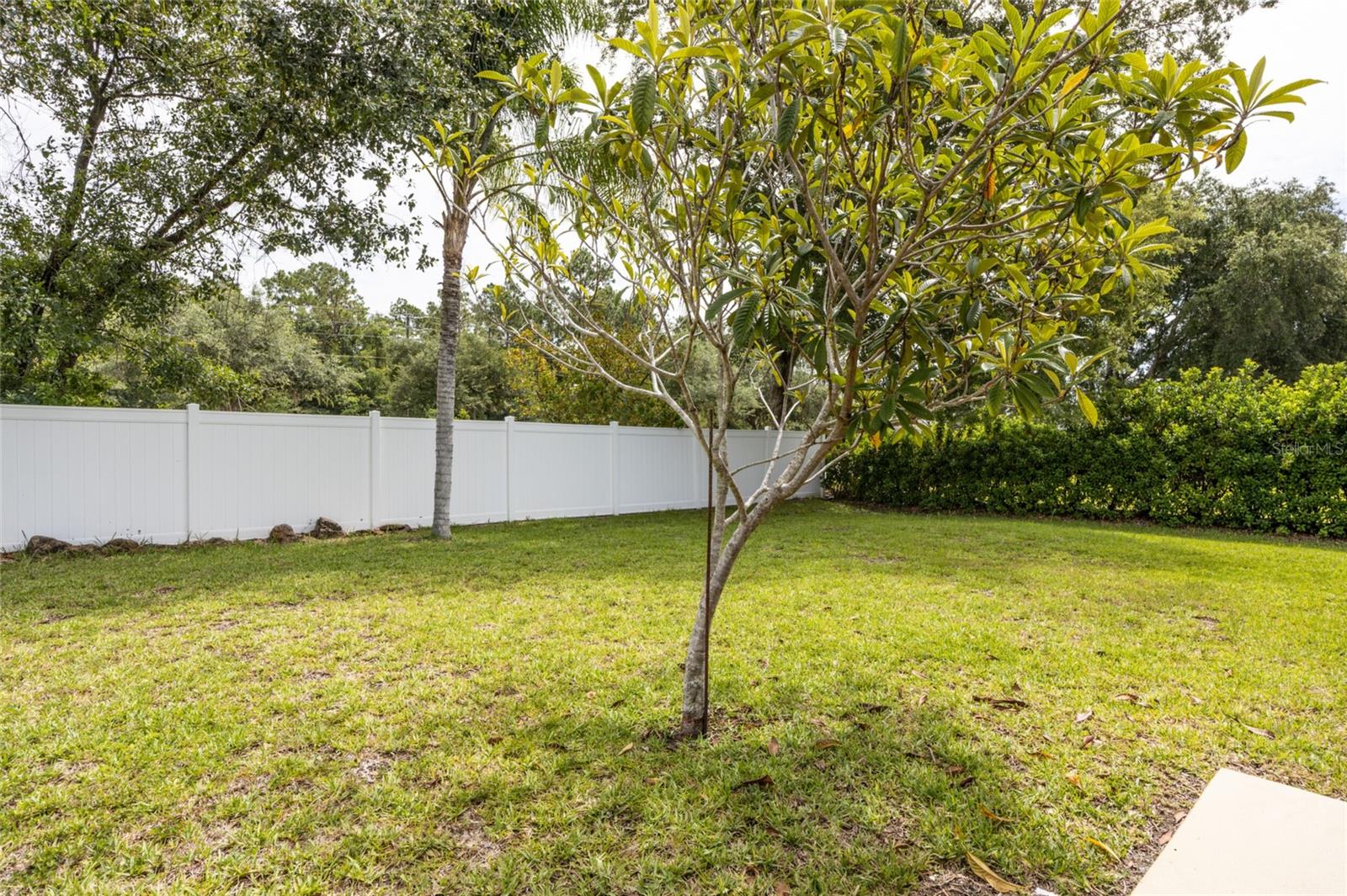37 Rockefeller Dr Property Photo 14