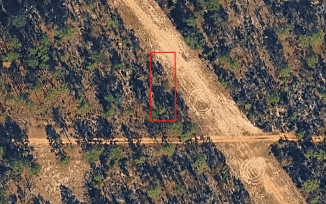 XX BIRCH AVE Property Photo 1