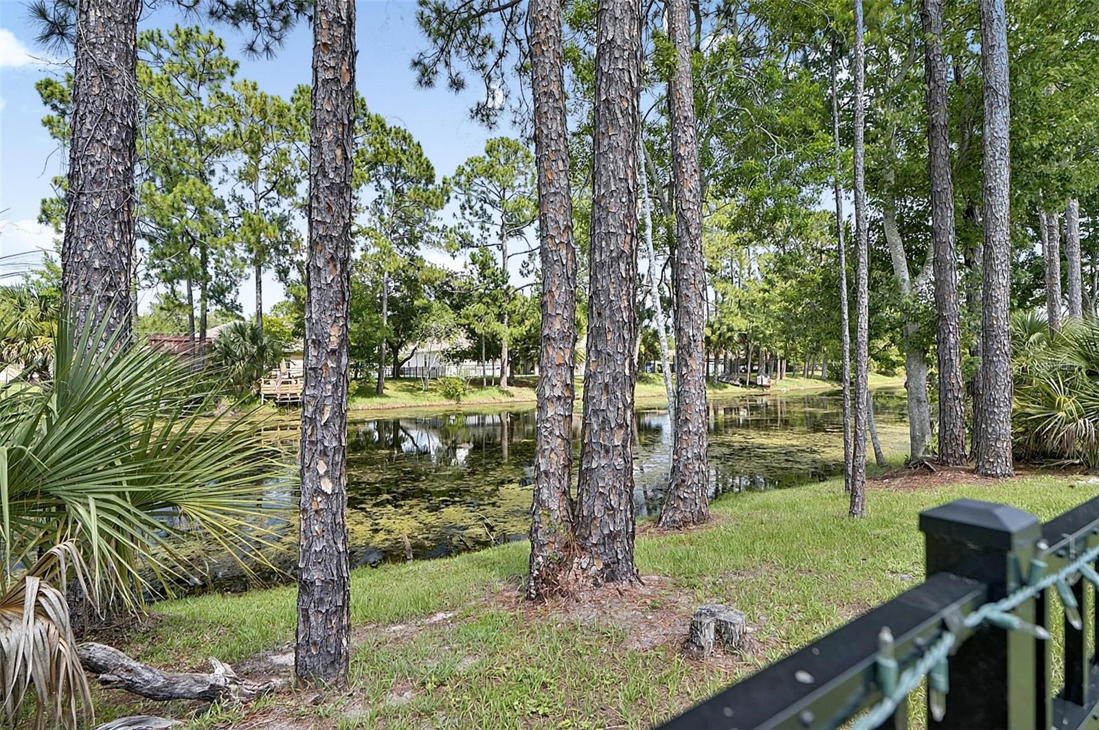 34 Bunker Hill Dr Property Photo 59