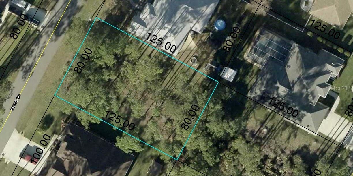 84 EVANS DR
