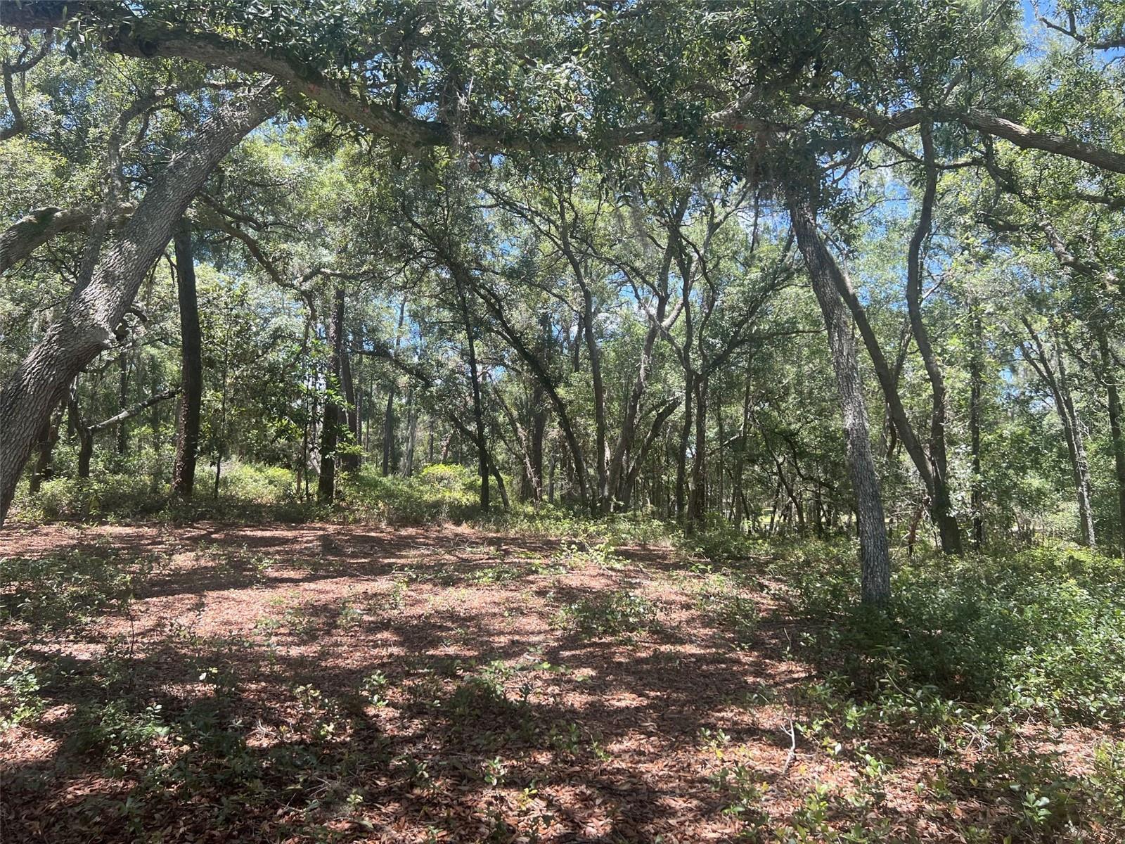 1425 Renbar Rd Property Photo 5