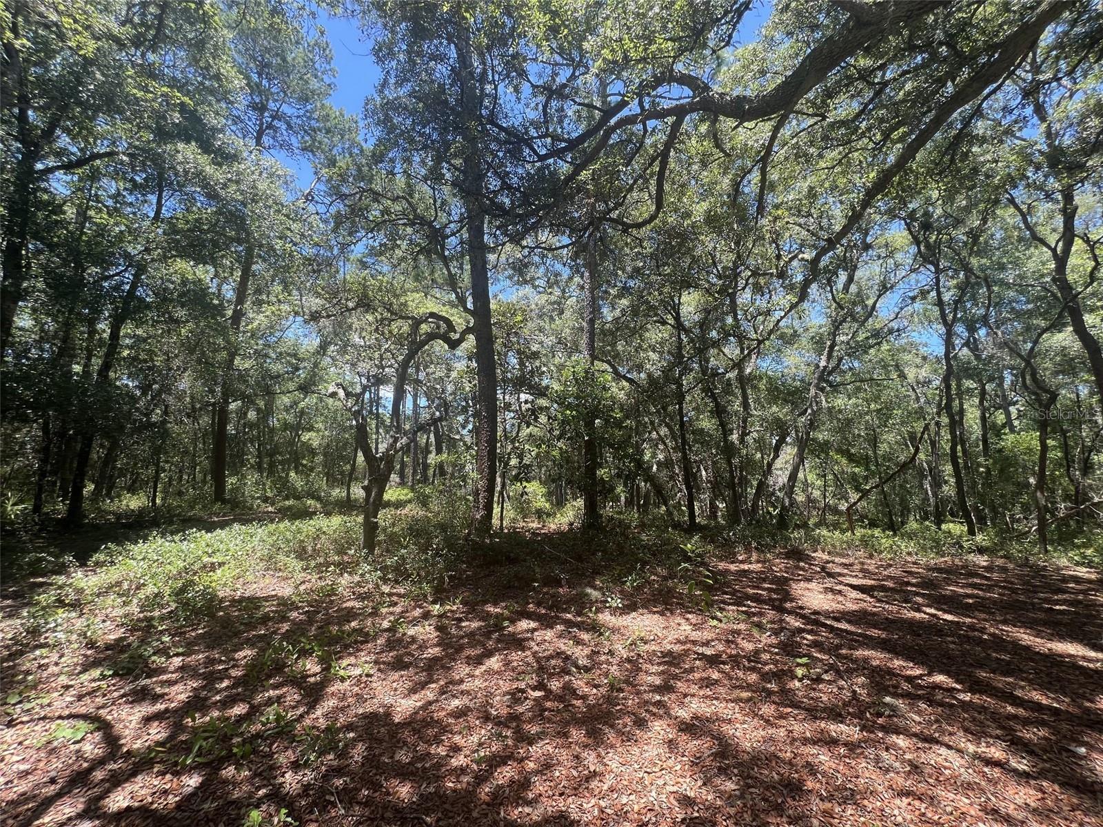 1425 Renbar Rd Property Photo 14