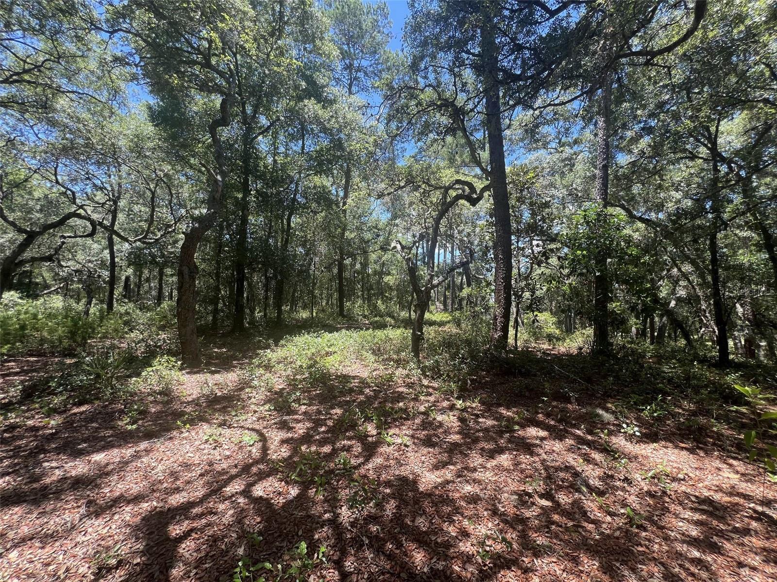 1425 Renbar Rd Property Photo 15