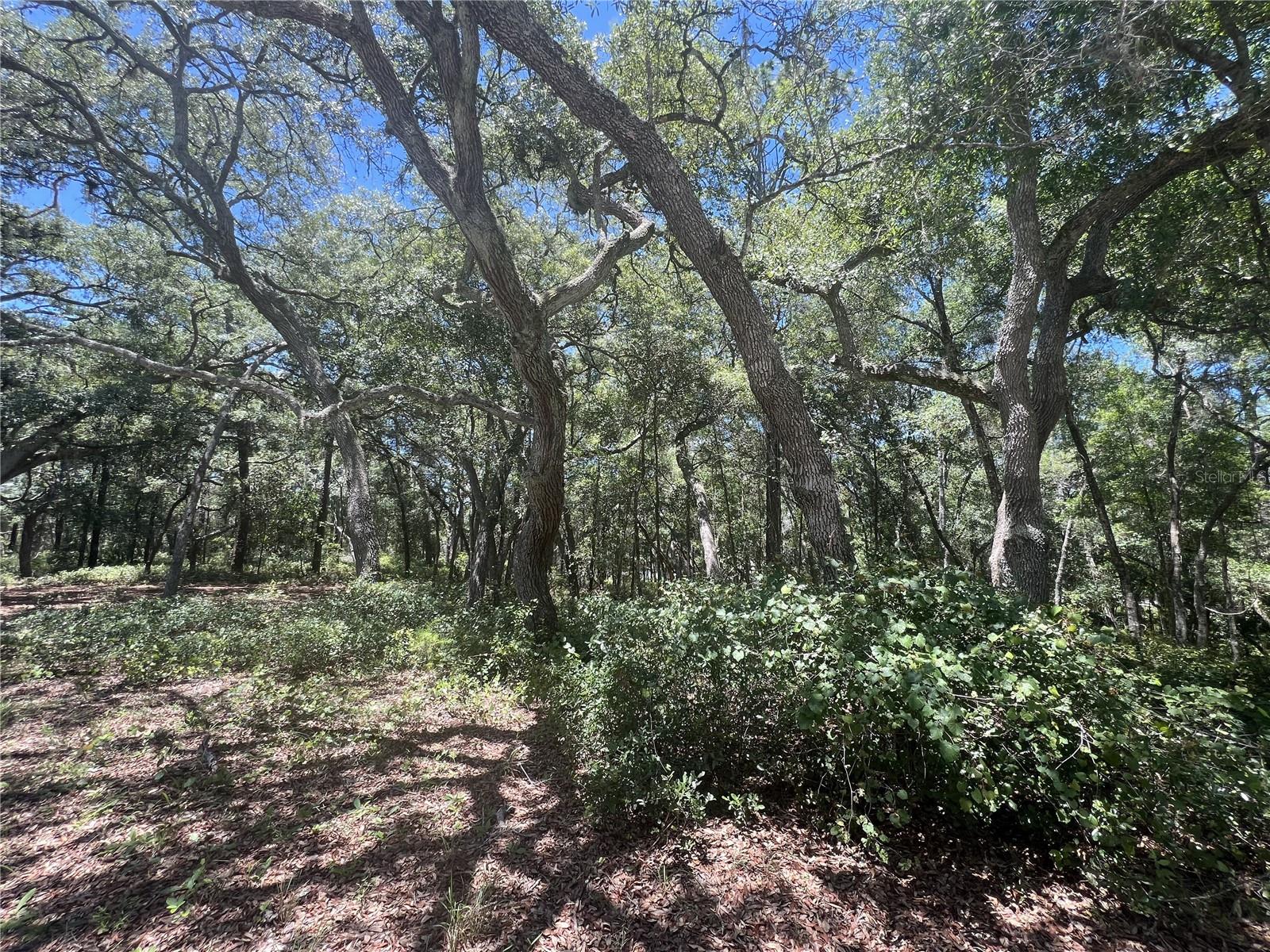 1425 Renbar Rd Property Photo 16