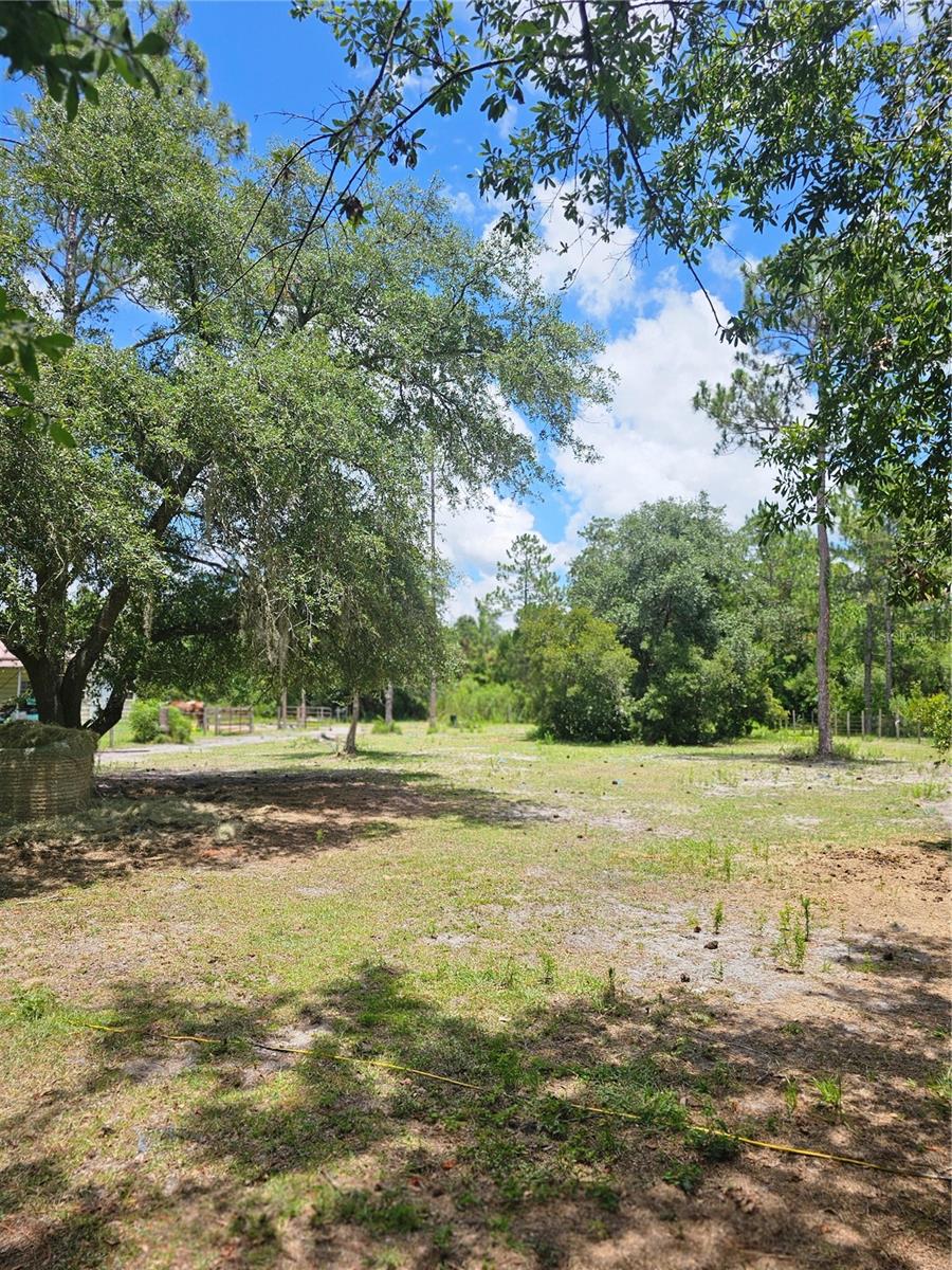 1893 Water Oak Rd Property Photo 27