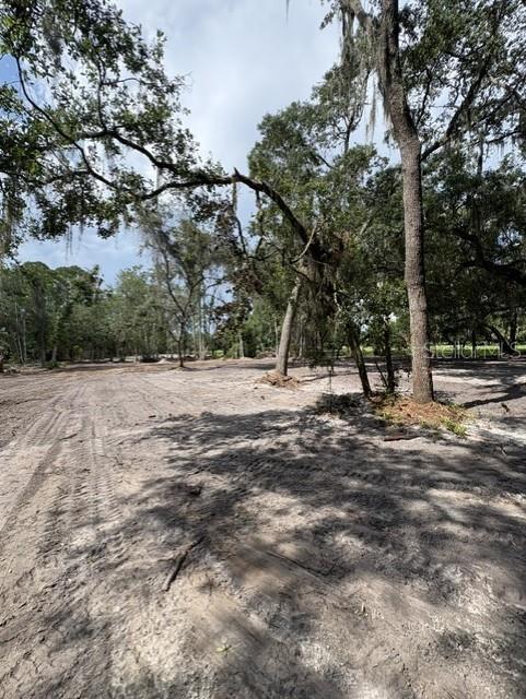 County Road 309 Property Photo 3