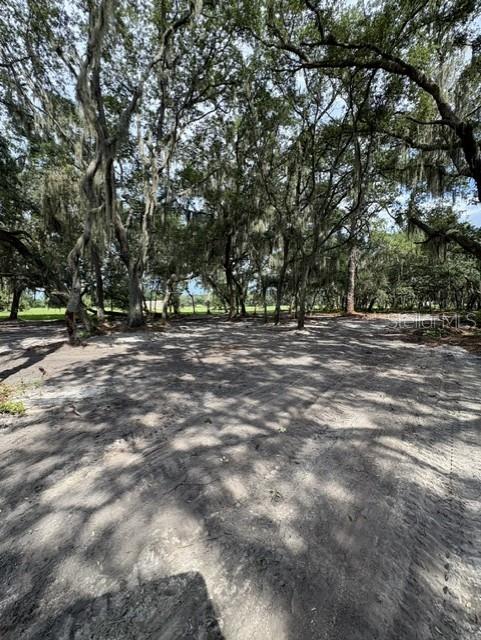 County Road 309 Property Photo 4