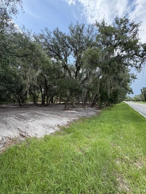 County Road 309 Property Photo 5