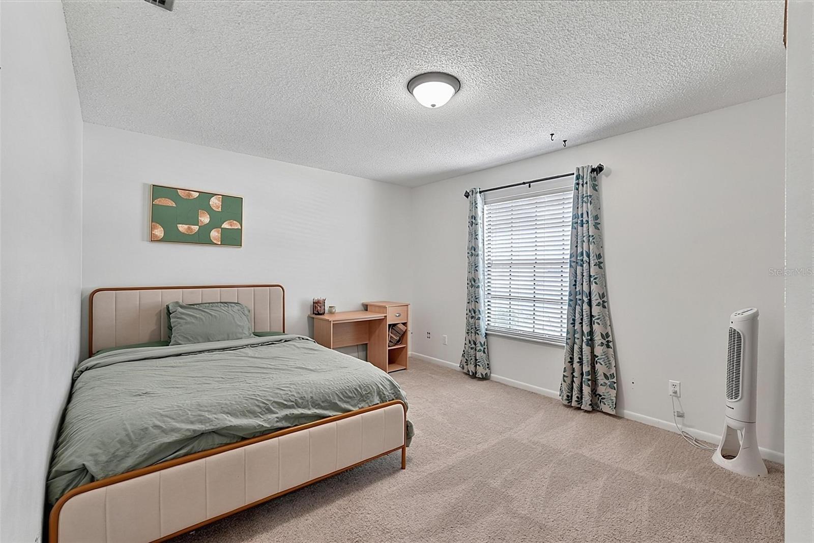 9 Bridget Ter Property Photo 36