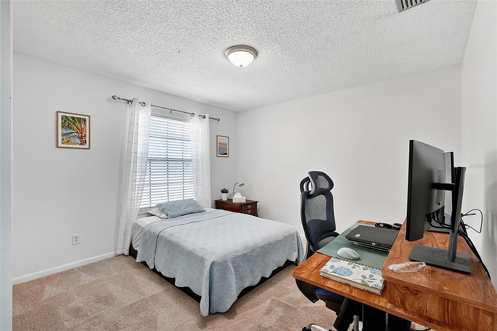 9 Bridget Ter Property Photo 39