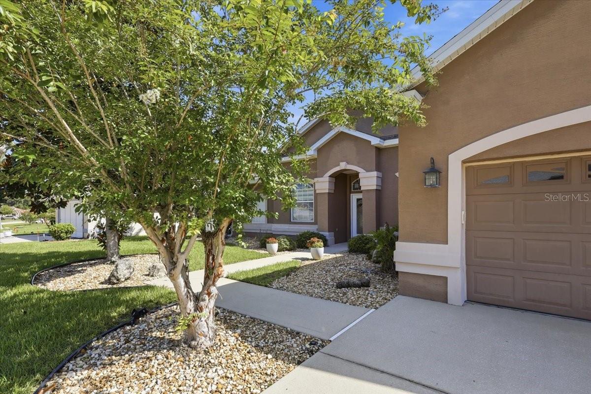58 BUTTERFIELD DR