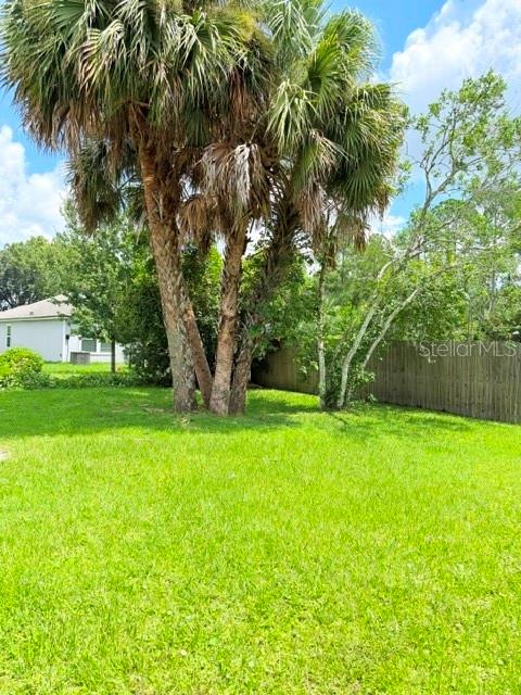 20 Palm Ln Property Photo 23