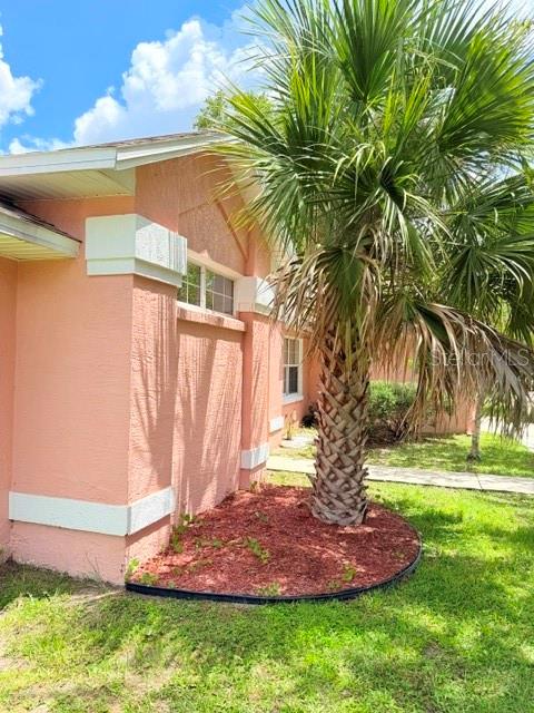 20 Palm Ln Property Photo 27