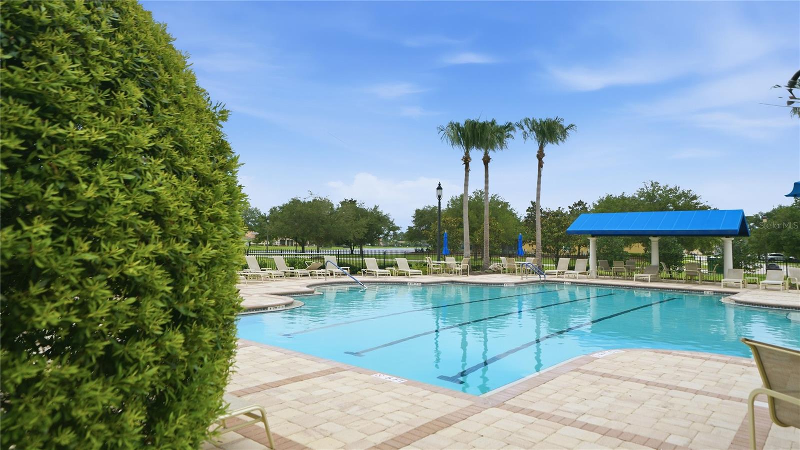 203 Tesoro Ter Property Photo 94