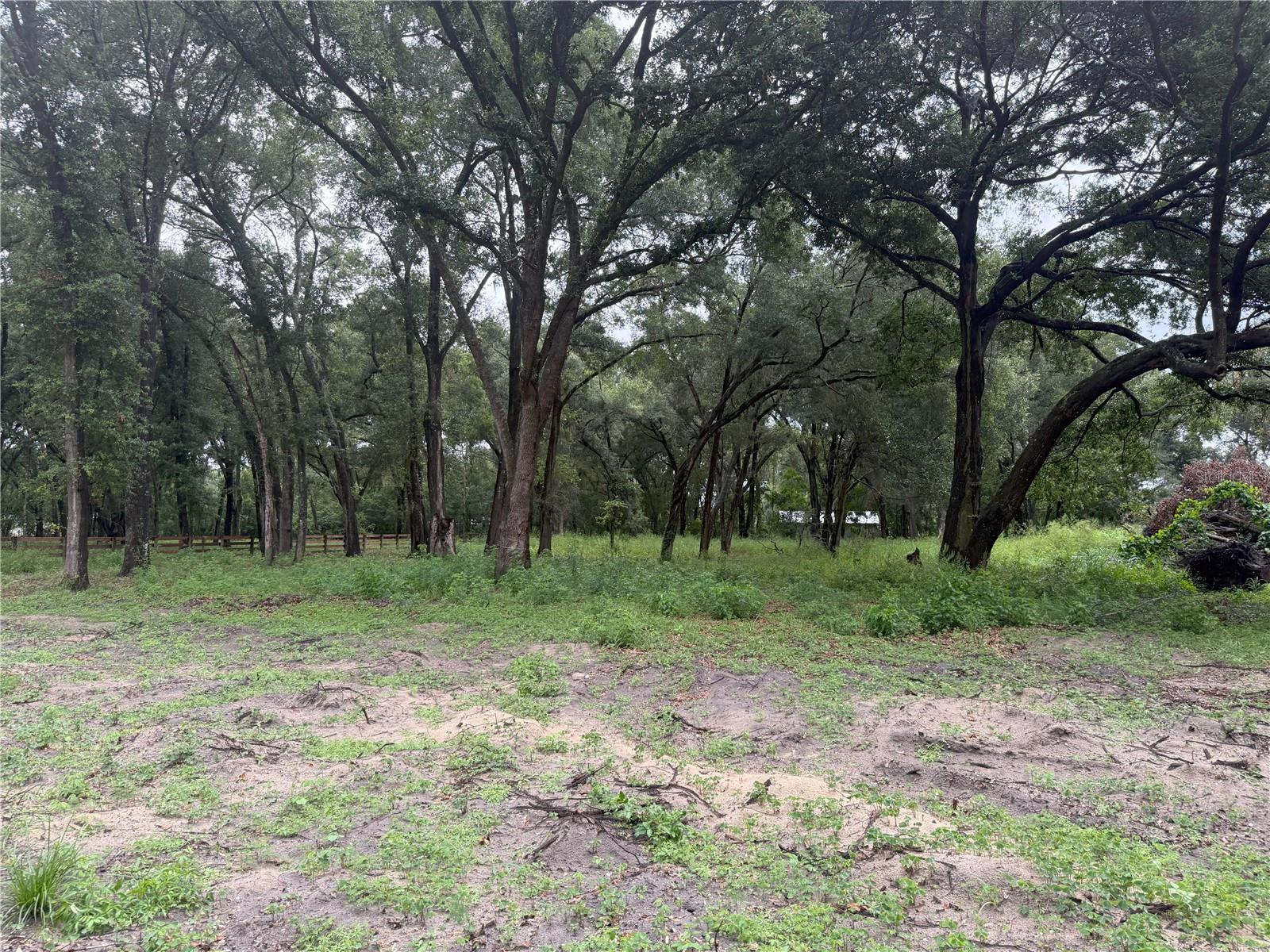 890 Grand Rondo W Property Photo 13