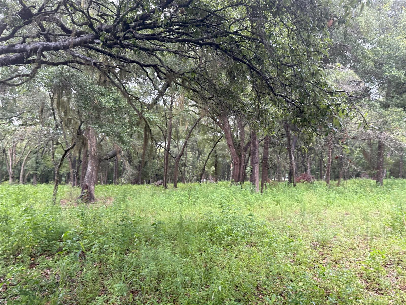 890 Grand Rondo W Property Photo 14