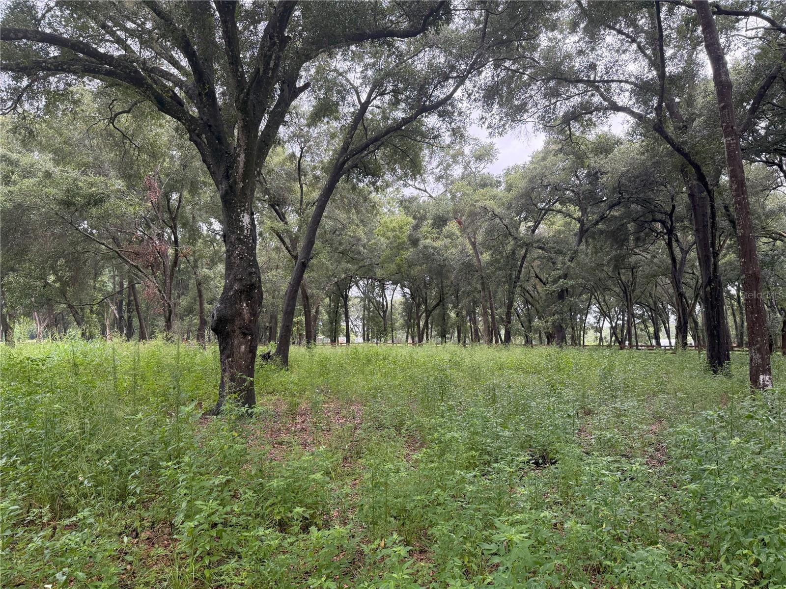 890 Grand Rondo W Property Photo 16