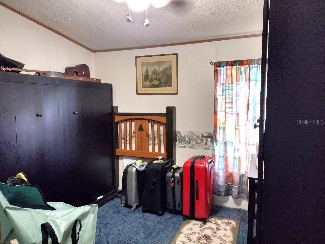 1176 County Road 305 Property Photo 17