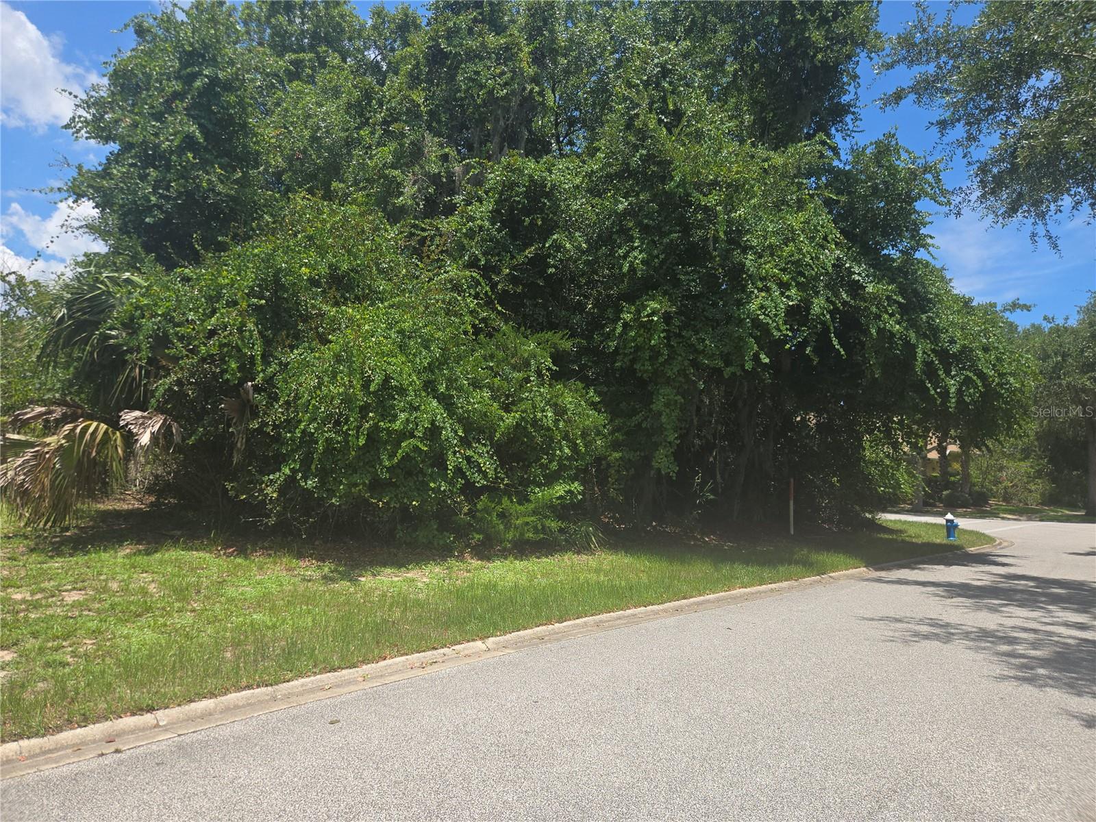 29 Creekside Dr Property Photo 2